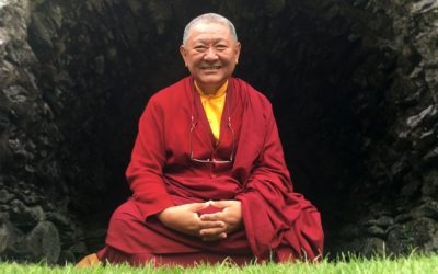 “VIAGGIO DALLA TESTA AL CUORE” di Ringu Tulku / VIDEO