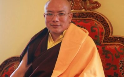 The 12th Chamgon Kenting Tai Situpa “Responses to Requests Ⅱ”