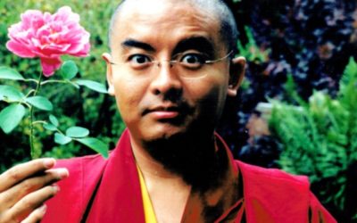 IL VIAGGIO HA INIZIO di Mingyur Rinpoche