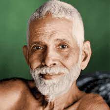 MEDITAZIONI DI AUTO-INDAGINE di Ramana Maharishi / audio-video